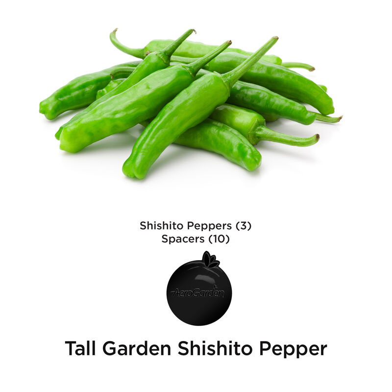 Shishito Pepper Seed Pod Kit image number null